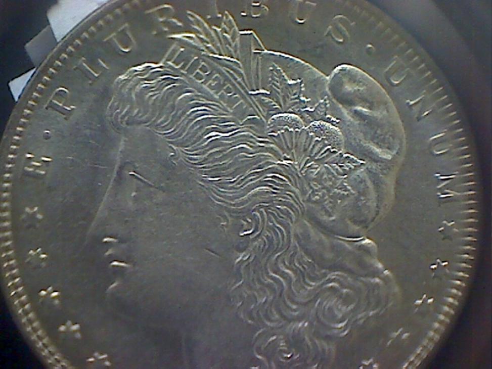 Grade-My-Morgans